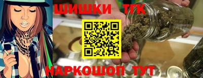 индика Ливны