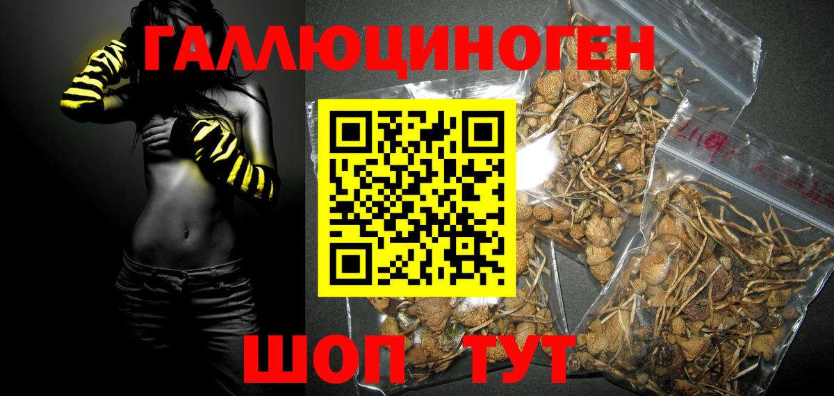 где продают   Псилоцибиновые грибы мицелий  Вход с VPN  Ялуторовск 